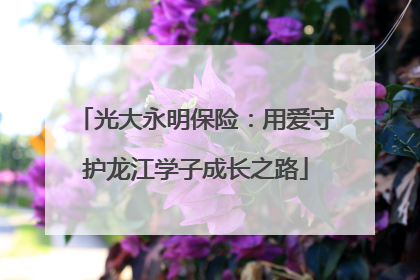 光大永明保险：用爱守护龙江学子成长之路