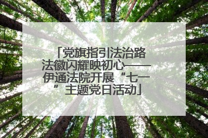 党旗指引法治路 法徽闪耀映初心——伊通法院开展“七一”主题党日活动
