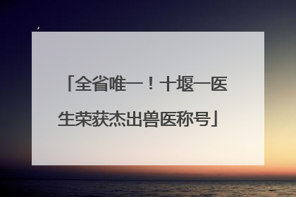 全省唯一！十堰一医生荣获杰出兽医称号