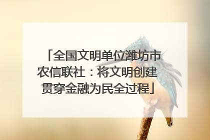 全国文明单位潍坊市农信联社：将文明创建贯穿金融为民全过程