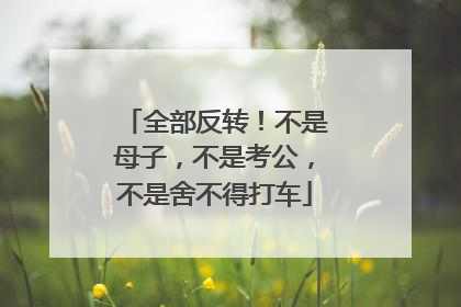 全部反转！不是母子，不是考公，不是舍不得打车