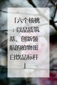 六个核桃：以品质筑基、创新领航的植物蛋白饮品标杆