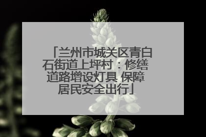兰州市城关区青白石街道上坪村：修缮道路增设灯具 保障居民安全出行