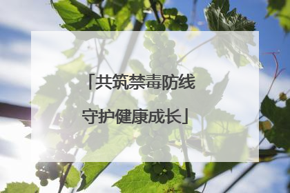 共筑禁毒防线 守护健康成长