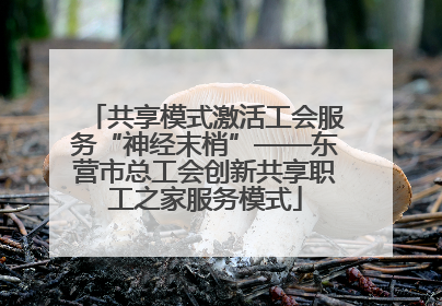 共享模式激活工会服务“神经末梢”——东营市总工会创新共享职工之家服务模式