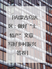 内蒙古乌达区：做好“土特产”文章 写好乡村振兴答卷