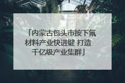 内蒙古包头市按下氟材料产业快进键 打造千亿级产业集群