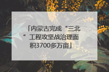 内蒙古完成“三北”工程攻坚战治理面积3700多万亩