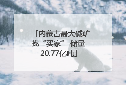 内蒙古最大碱矿找“买家” 储量20.77亿吨