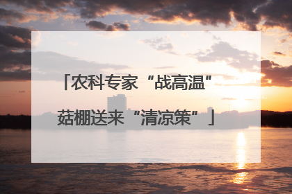 农科专家“战高温” 菇棚送来“清凉策”