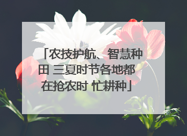 农技护航、智慧种田 三夏时节各地都在抢农时 忙耕种