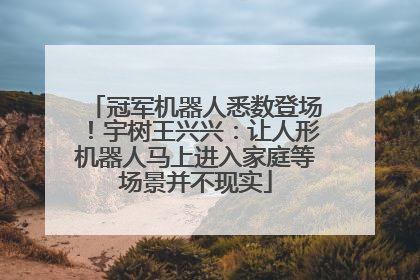 冠军机器人悉数登场！宇树王兴兴：让人形机器人马上进入家庭等场景并不现实