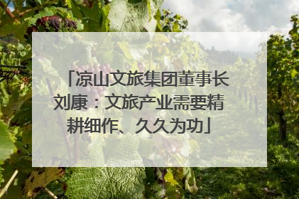 凉山文旅集团董事长刘康：文旅产业需要精耕细作、久久为功
