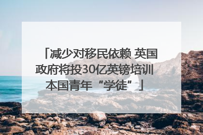 减少对移民依赖 英国政府将投30亿英镑培训本国青年“学徒”