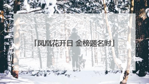 凤凰花开日 金榜题名时