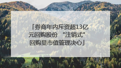券商年内斥资超13亿元回购股份 “注销式”回购显市值管理决心
