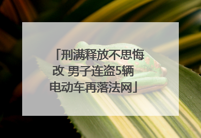 刑满释放不思悔改 男子连盗5辆电动车再落法网