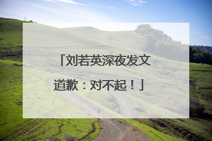 刘若英深夜发文道歉：对不起！
