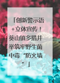 创新警示语+立体宣传！葵山镇多措并举筑牢野生菌中毒“防火墙”
