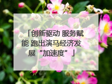 创新驱动 服务赋能 跑出演马经济发展“加速度”