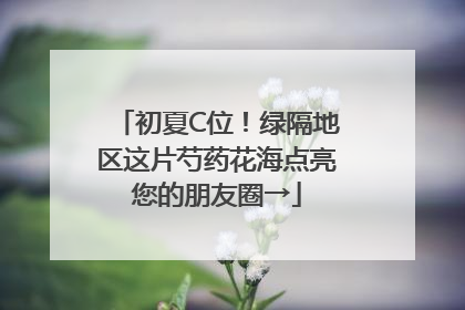 初夏C位！绿隔地区这片芍药花海点亮您的朋友圈→