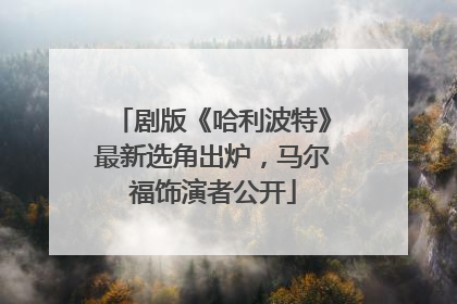 剧版《哈利波特》最新选角出炉，马尔福饰演者公开