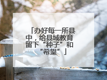 办好每一所县中，给县域教育留下“种子”和“希望”