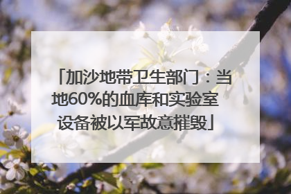 加沙地带卫生部门：当地60%的血库和实验室设备被以军故意摧毁