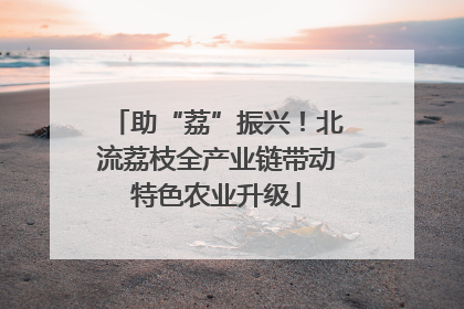 助“荔”振兴！北流荔枝全产业链带动特色农业升级