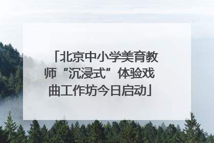 北京中小学美育教师“沉浸式”体验戏曲工作坊今日启动