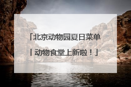 北京动物园夏日菜单丨动物食堂上新啦！