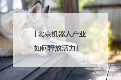 北京机器人产业如何释放活力