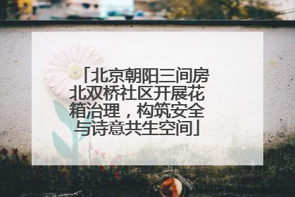 北京朝阳三间房北双桥社区开展花箱治理，构筑安全与诗意共生空间