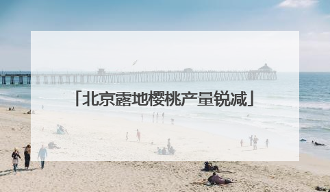 北京露地樱桃产量锐减
