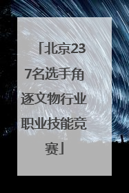 北京237名选手角逐文物行业职业技能竞赛