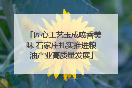 匠心工艺玉成喷香美味 石家庄扎实推进粮油产业高质量发展