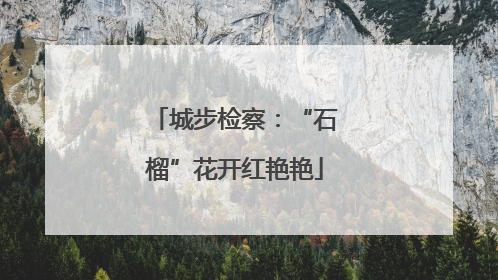 城步检察：“石榴”花开红艳艳