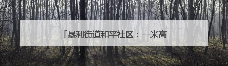 垦利街道和平社区：一米高度看社区 趣味运动伴成长
