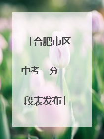 合肥市区中考一分一段表发布