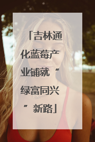 吉林通化蓝莓产业铺就“绿富同兴”新路