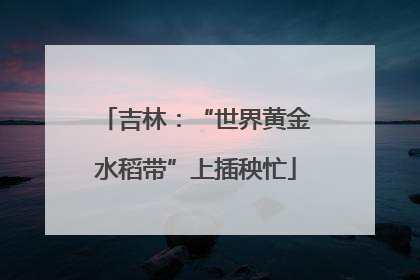 吉林：“世界黄金水稻带”上插秧忙