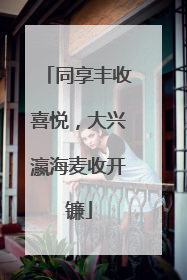 同享丰收喜悦，大兴瀛海麦收开镰
