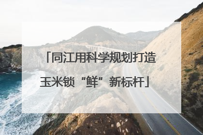 同江用科学规划打造玉米锁“鲜”新标杆