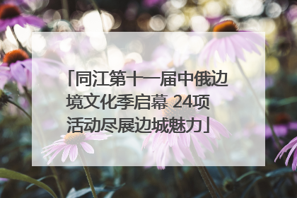 同江第十一届中俄边境文化季启幕 24项活动尽展边城魅力
