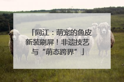 同江：萌宠的鱼皮新装刷屏！非遗技艺与“萌态跨界”