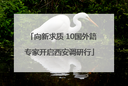 向新求质 10国外籍专家开启西安调研行