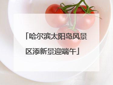 哈尔滨太阳岛风景区添新景迎端午