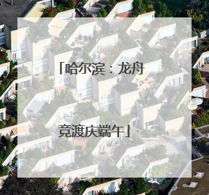 哈尔滨：龙舟竞渡庆端午