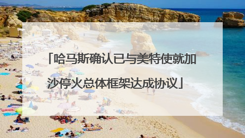 哈马斯确认已与美特使就加沙停火总体框架达成协议