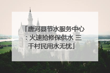 唐河县节水服务中心：火速抢修保供水 三千村民用水无忧